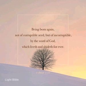 Meet your Posher, Brigitt